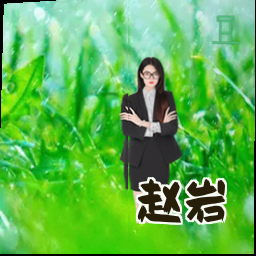 赵岩